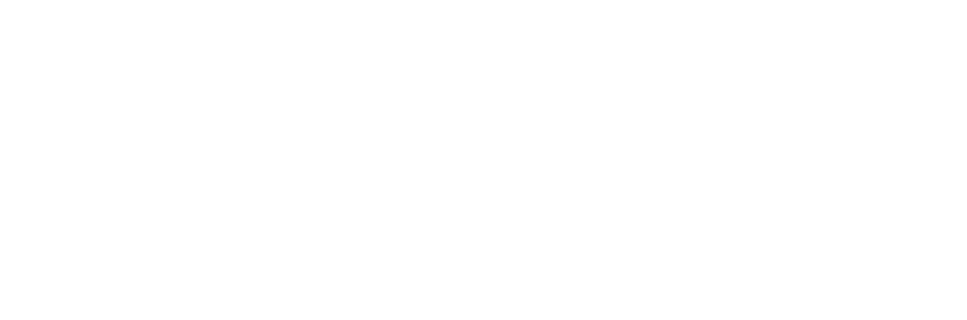 Dumbo AI